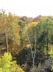 fall066.jpg