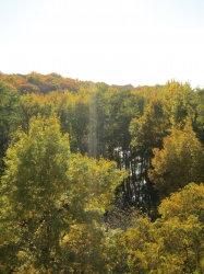 fall067.jpg