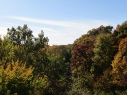 fall068.jpg