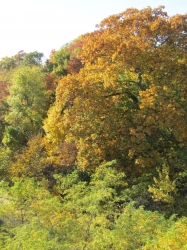 fall069.jpg