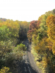 fall070.jpg