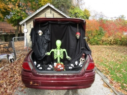 trunk.jpg
