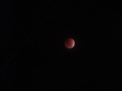novblood08.jpg