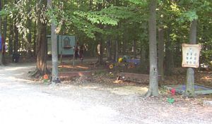 GLMF 07 faerie land