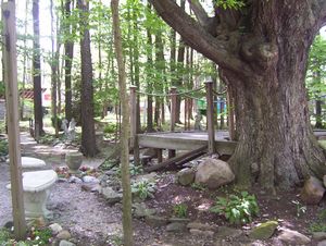 GLMF rat puck hole 2007