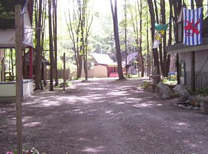 GLMF rat puck hole 2007