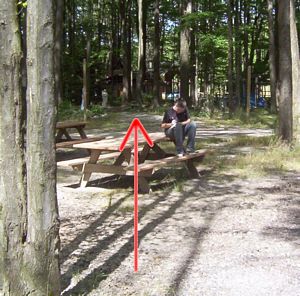 GLMF rat puck hole 2007