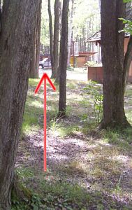 GLMF rat puck hole 2007