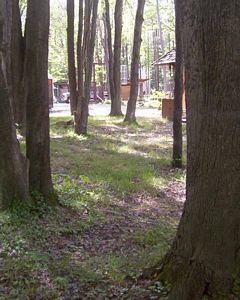 GLMF rat puck hole 2007