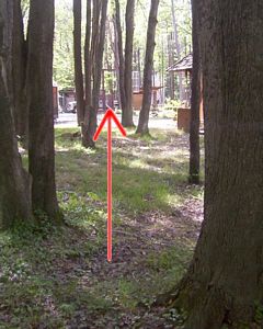 GLMF rat puck hole 2007