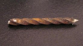 ferrucutus - dinosaur