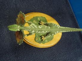 Jurassic Park dinosaur model