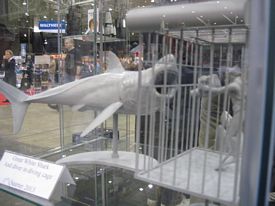 ihobby dealer pictures