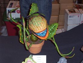 wonderfest dealer pictures