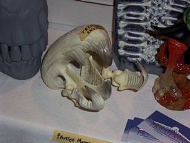 wonderfest dealer pictures