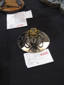 wonderfest 2026
