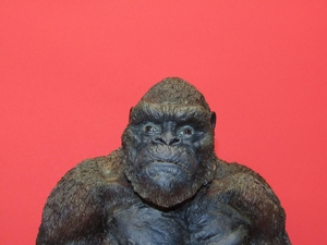 Kong Skull Island