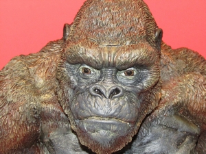 Kong Skull Island