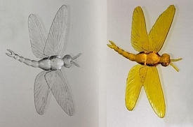 dragonfly
