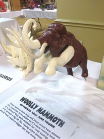 Prehistoric Scenes display