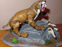 miketomasknighttiger02.jpg