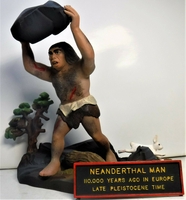 qmneman203.jpg