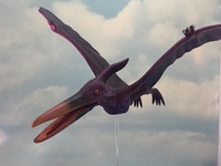 simonfly01.jpg