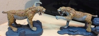 jeftigers2.jpg