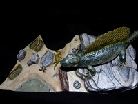 s-l1600_28729.jpg