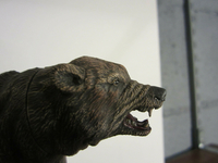 s-l1600_281629.jpg