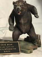 jerembear11.jpg