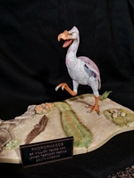 danbird01.jpg
