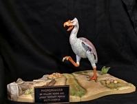 danbird05.jpg