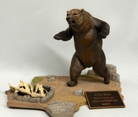 jeffbear5.jpg