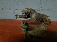 norsetiger11.jpg