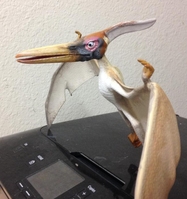 jefffly01~0.jpg