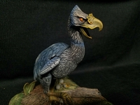 norsebird01.jpg