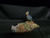 norsebird11.jpg