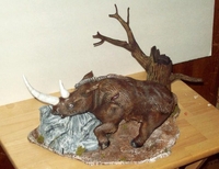 wooly-rhino-pics-001.jpg