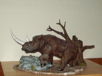 wooly-rhino-pics-0031.jpg