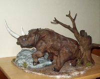 wooly-rhino-pics-0051.jpg