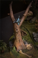 simontrach14.jpg