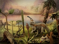 simontrach37.jpg