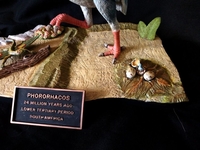 danbird203.jpg