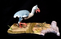 danbird205.jpg