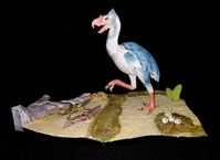 danbird207.jpg