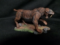 norsetiger303.jpg
