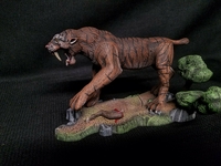 norsetiger306.jpg