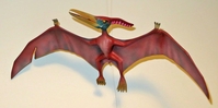 richpastorefly1.jpg
