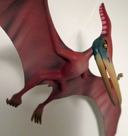 richpastorefly4.jpg